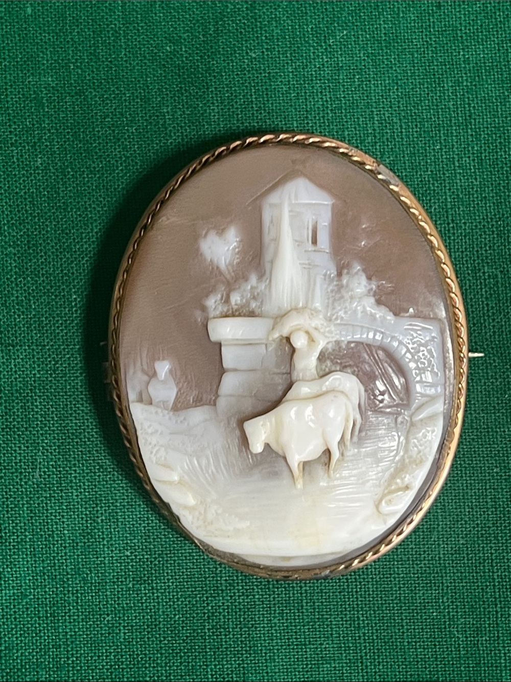 Antique Source Unknown Brown and White Cameo Brooch.